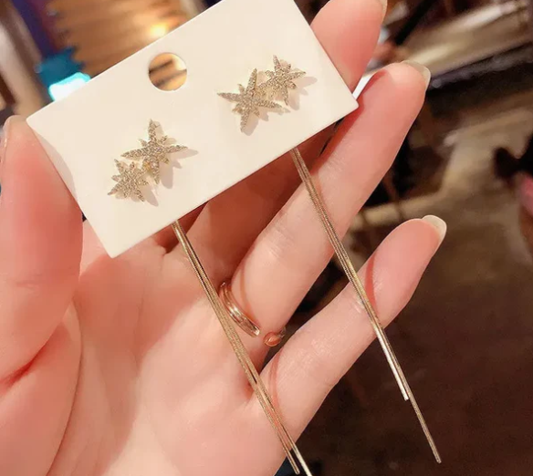 Star And Tassel Earring
